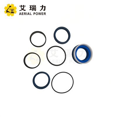 SEALS KIT 2504000910 FOR Haulotte manufacturers